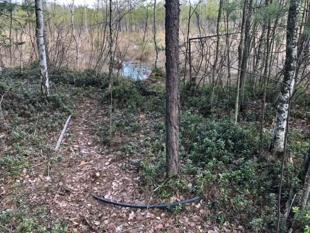 В Рязани осудят двух мужчин за кражу 17 тонн дизельного топлива В Рязани осудят двух мужчин за кражу 17 тонн дизельного топлива