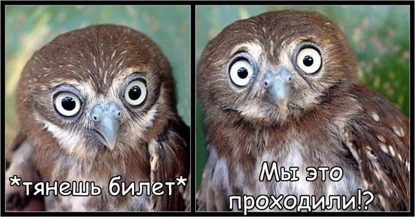 Всяко - разно 12 )))