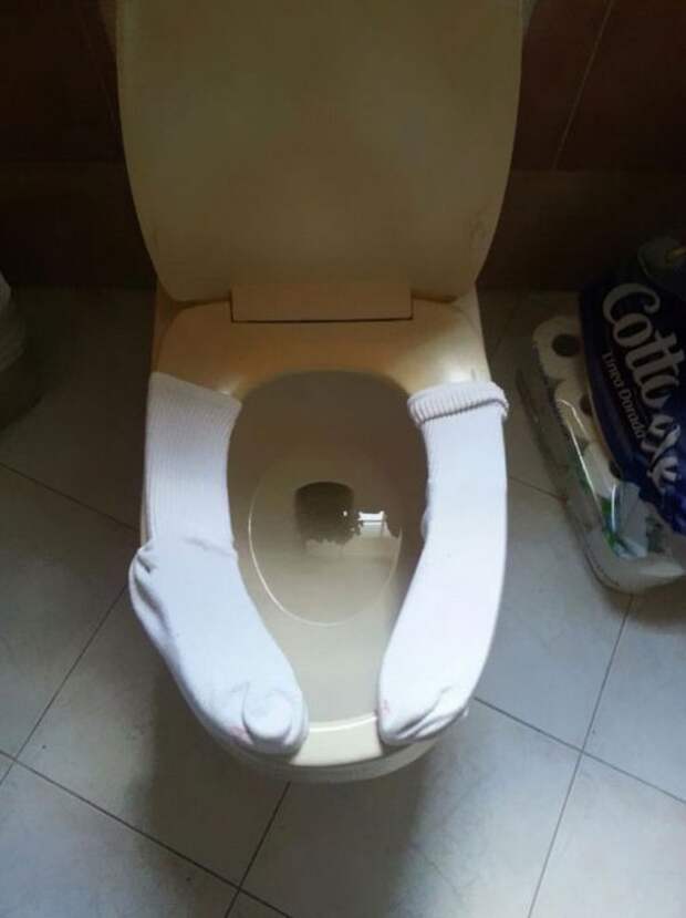 цветы жизни