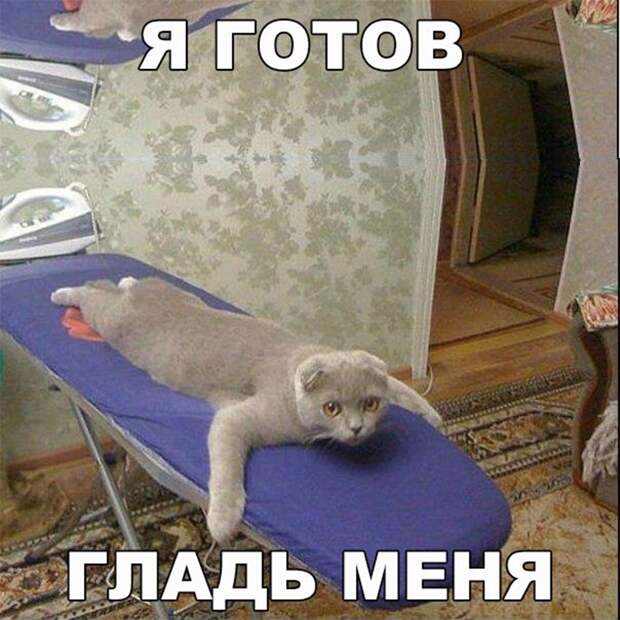 Забавные картинки с надписями для настроения (11 фото) Забавные картинки с надписями для настроения (11 фото)