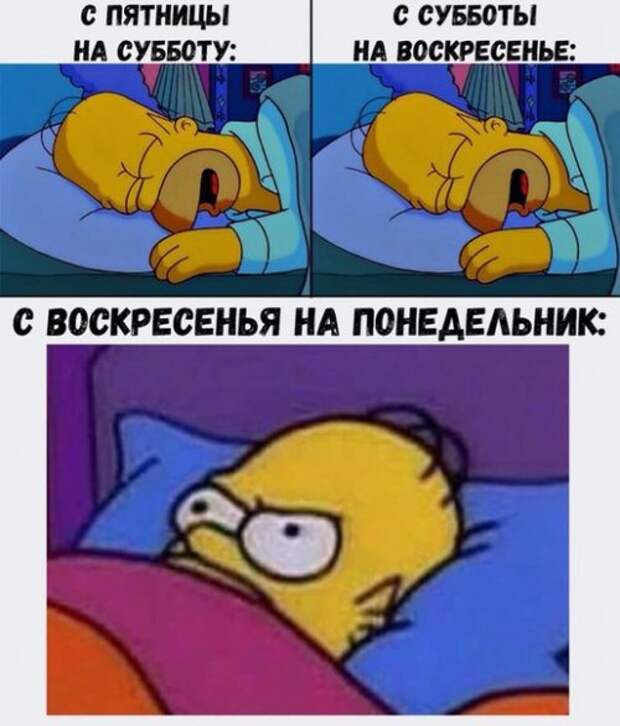 Свежие прикольные фотомемы (25 шт)
