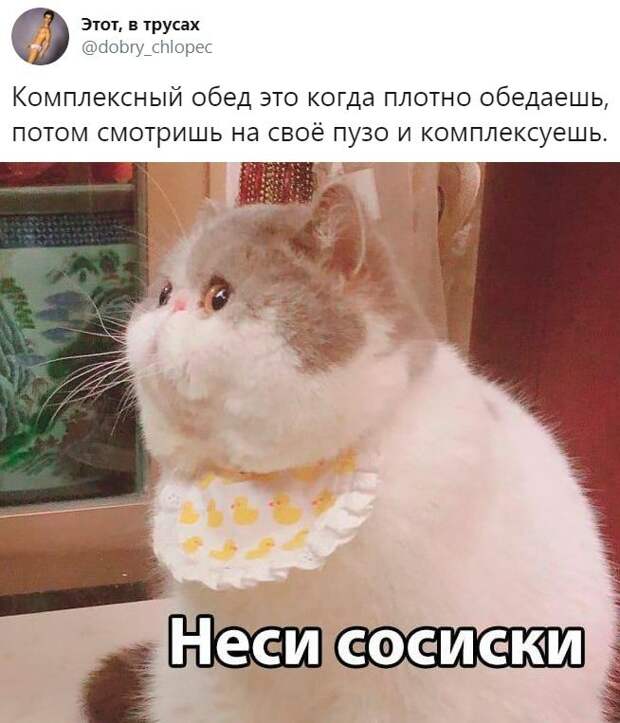 kartinok-interesnyh-prikolnyh-kartinki-smeshnye-kartinki-fotoprikoly