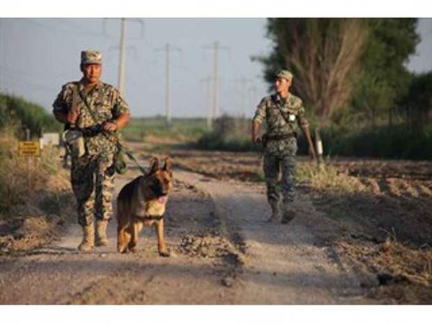 Разрушительные связи: хакеры опубликовали свидетельства подготовки переворота в Казахстане