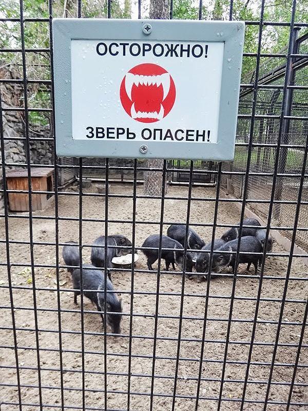 SwissinruII17 Россия глазами швейцарца (Часть 2)