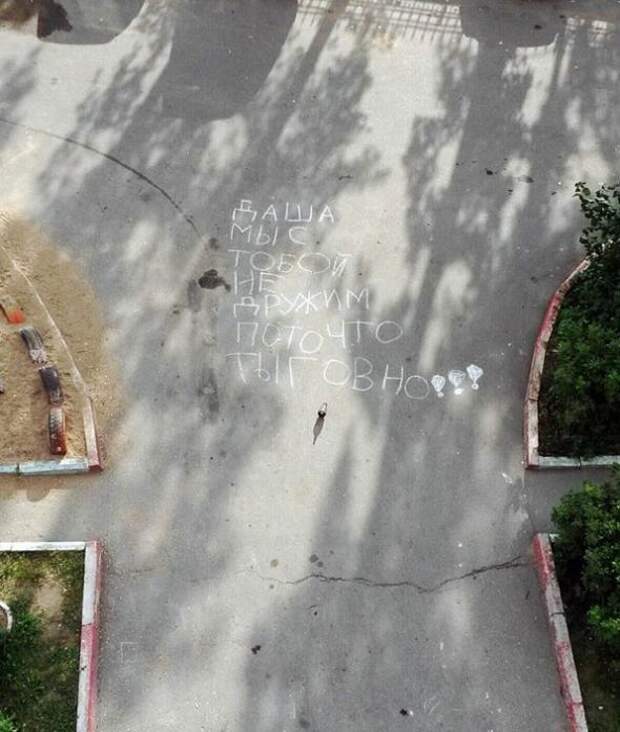 Картинки, юмор, приколы