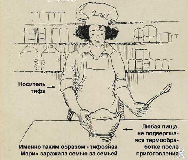 Тифозная Мэри