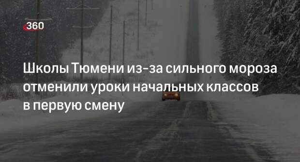 Администрация Тюмени: занятия первой смены с 1 по 4 классы отменили из-за мороза