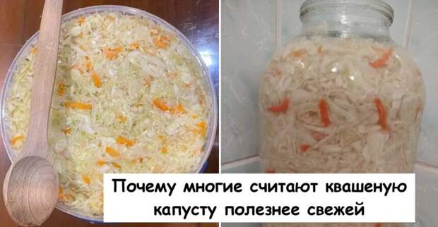 Почему многие считают квашеную капусту полезнее свежей