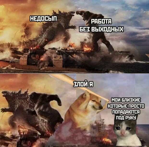 Смешные картинки 24 февраля 2021