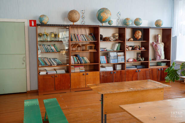 «ДНК России» начнут изучать в школах со следующего учебного года