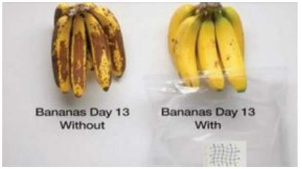 Узнайте, как сохранить фрукты свежими на 5 дней дольше! (видео)