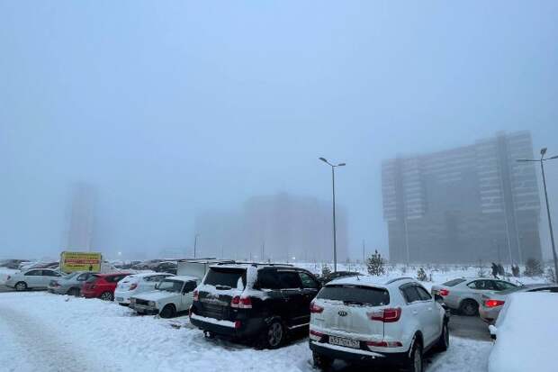 В Петербурге — мороз, туман и иней на деревьях. Показываем фото