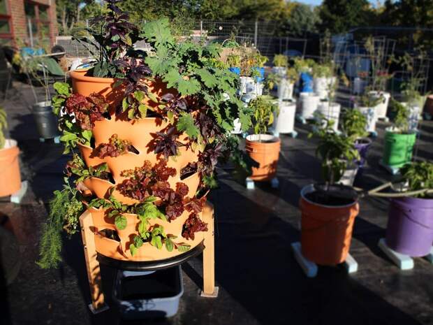 Garden Tower
