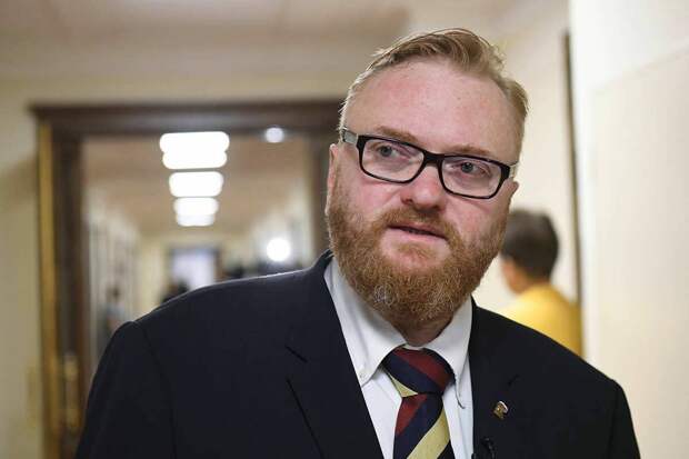 Депутат Милонов прокомментировал нападение стаи собак на женщину с ребенком в Татарстане