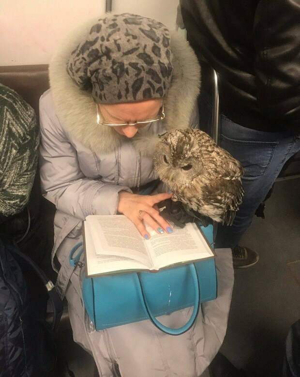 Подборка прикольных картинок