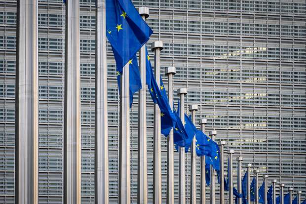 В ЕП оценили решение против России фразой «хомяк в колесе»