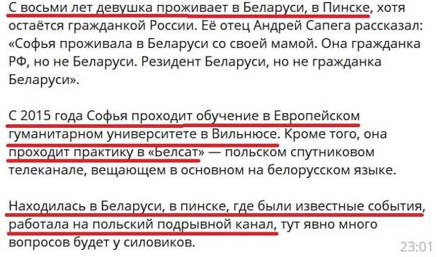 Сапега, Симоньян и хорошая компания