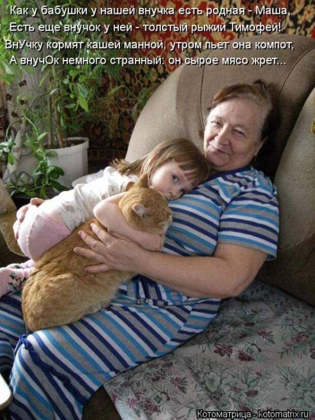 Лучшие котоматрицы недели Лучшие котоматрицы недели