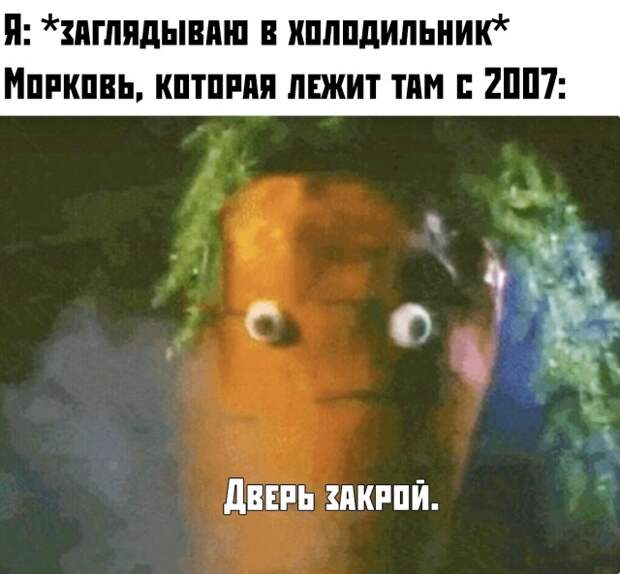 www.vsyako.net