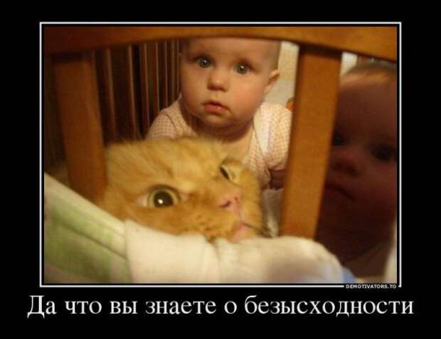 Немного новых демотиваторов