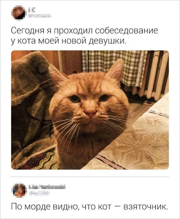 S17 комментариев от авторов которые всегда смогут протроллить пост