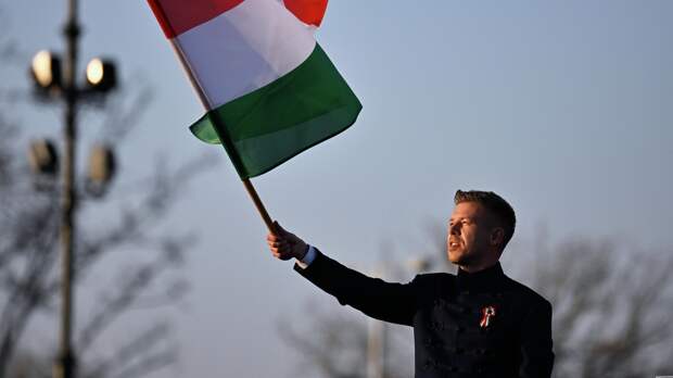 "Эти результаты поражают": эксперты поражены обстановкой в Венгрии