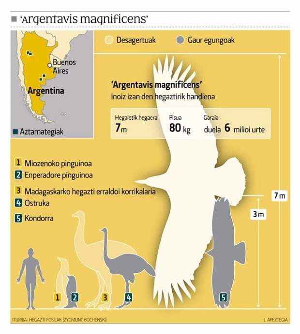 Тайна «Громовой птицы» описанной в легендах коренных американцев, изображение №3