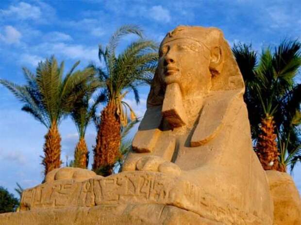 61 Багаж для поездки в Египет