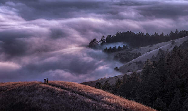 Невероятный туман в горах Калифорнии