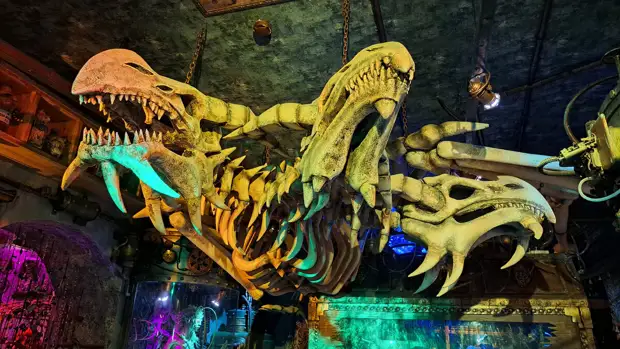 ������ ���� ��������. 