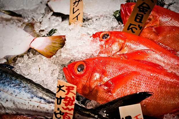 002 Tokyo Fish Market 9 Самые вкусные места мира