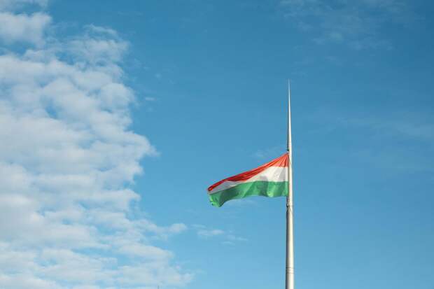 Орбан признал поражение на выборах в Венгрии