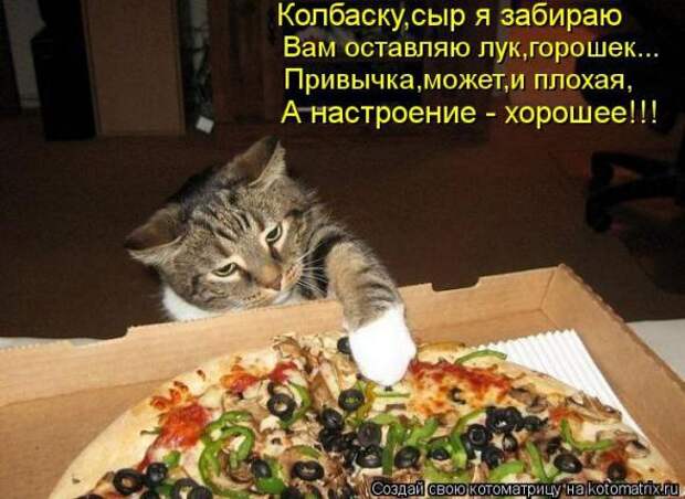Котоматрицы(картинки с надписями)