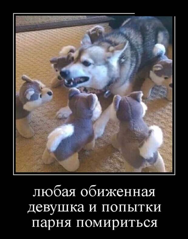 www.vsyako.net