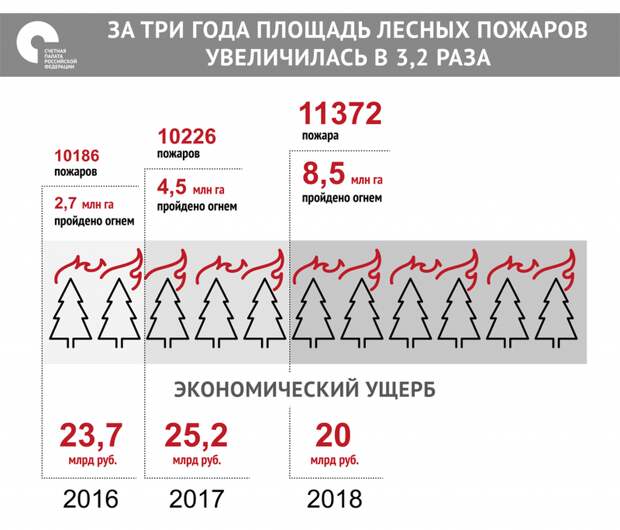 Раскрыт экономический ущерб от бушующих в России лесных пожаров