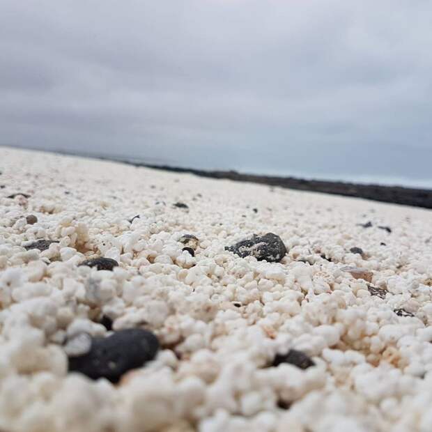 Уникальный попкорновый пляж - достопримечательность Канарских островов