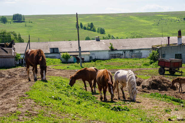 На комплексное развитие сельских территорий в РТ направят более 10,6 млрд рублей