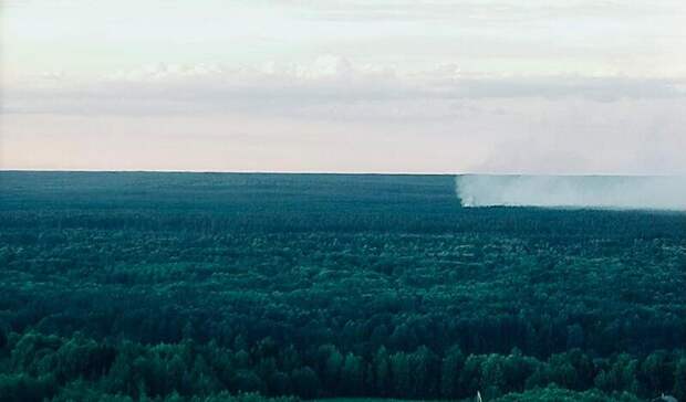 Леса два раза горели в Нижегородской области за минувшие сутки
