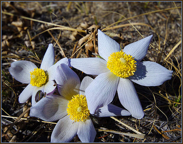 фото