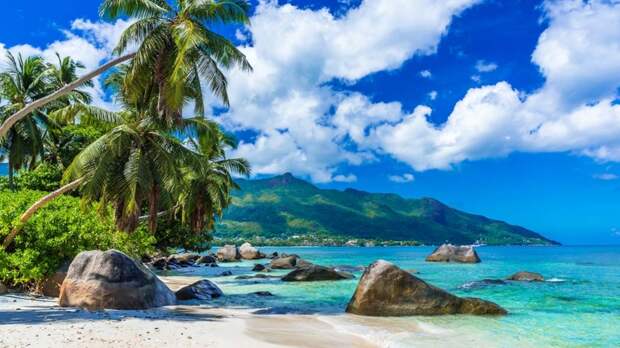 Круглогодичные рейсы из России на Сейшелы могут стартовать в 2027 году