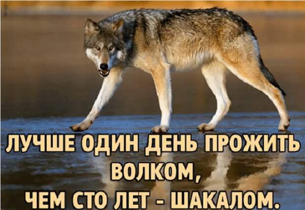 www.vsyako.net