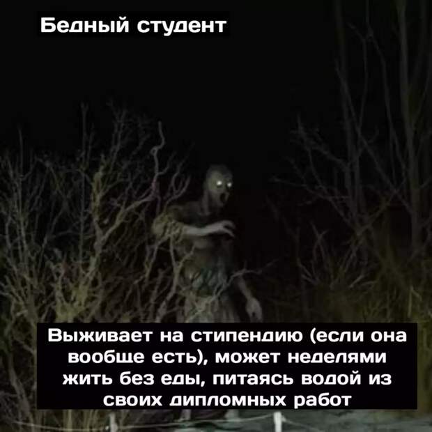 Студенты