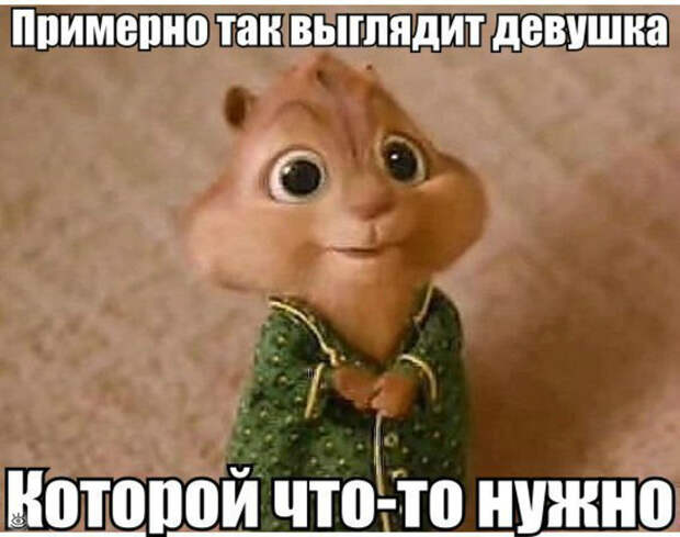 Картинки по запросу фото приколы девушка