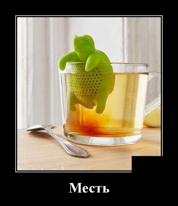Демотиваторы (30 фото)