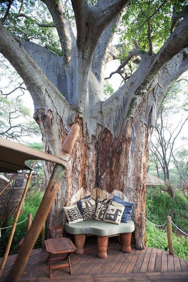 29. В этом местечке у необычного дерева, причем, с очень интересной книгой. места для отдыха, отдых, природа, путешествие