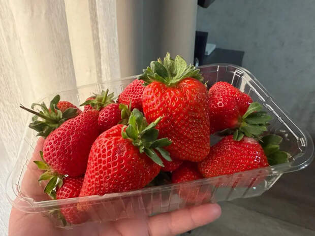 1 горсть под корень ранней весной — и клубника выдаёт ягоды огромного размера