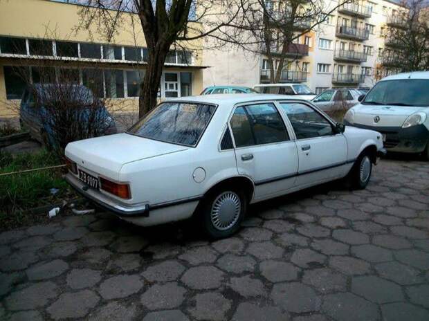авто, автомобили, польша