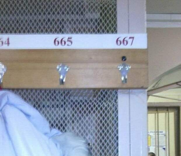 Это Россия, детка… (22 фото)