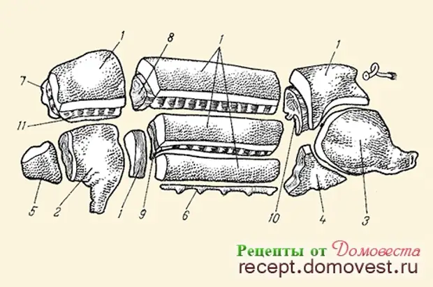 Тушь свиньи. Разделка свиной головы схема. Разделка свиной полутуши на 4 части. Как правильно разделать свинью пошагово схема. Как правильно разрубить полутушу свинины.