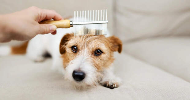 Источник: Shutterstock/Fotodom.ru